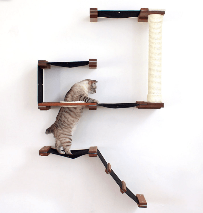 Top 10 Wall Perches for Cats: Secure, Stylish, and Cat‑Friendly Solutions