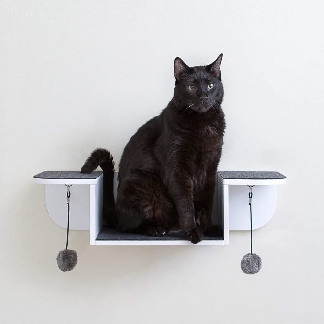 Top 10 Wall Perches for Cats: Secure, Stylish, and Cat‑Friendly Solutions