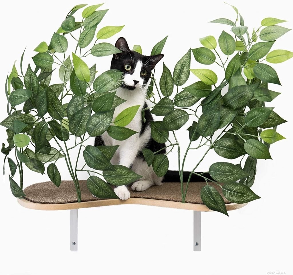 Top 10 Wall Perches for Cats: Secure, Stylish, and Cat‑Friendly Solutions