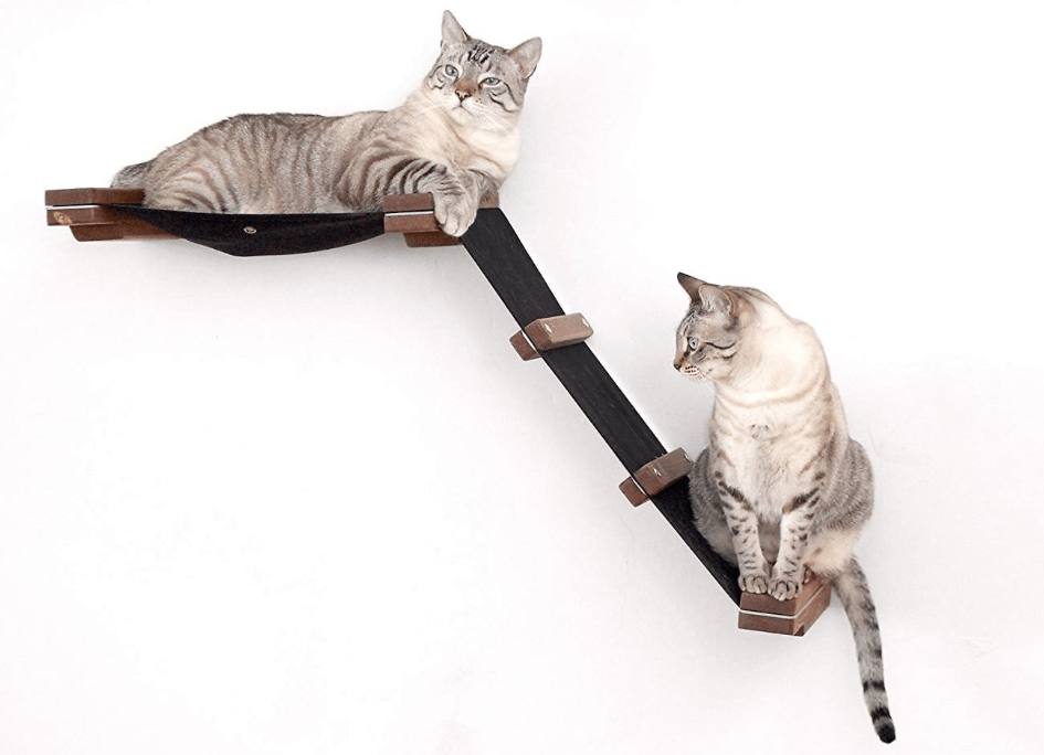 Top 10 Wall Perches for Cats: Secure, Stylish, and Cat‑Friendly Solutions