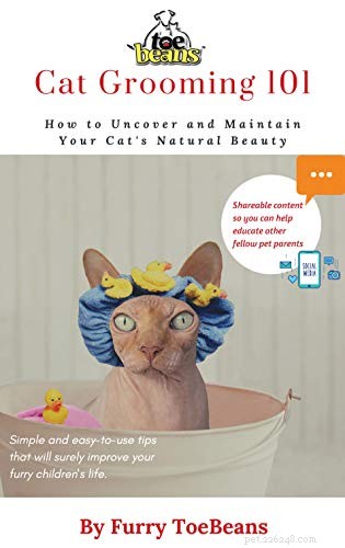 Essential Reading for New Cat Owners: Top 10 Expert‑Recommended Books