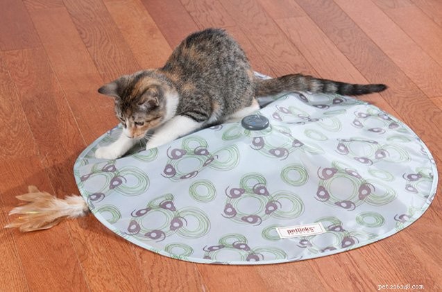 Top 5 Essential Cat Toys for Active, Healthy Pets