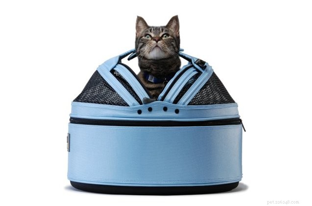 Top Cat Products to Keep Your Feline Entertained and Happy