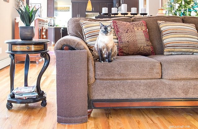 Top Cat Products to Keep Your Feline Entertained and Happy