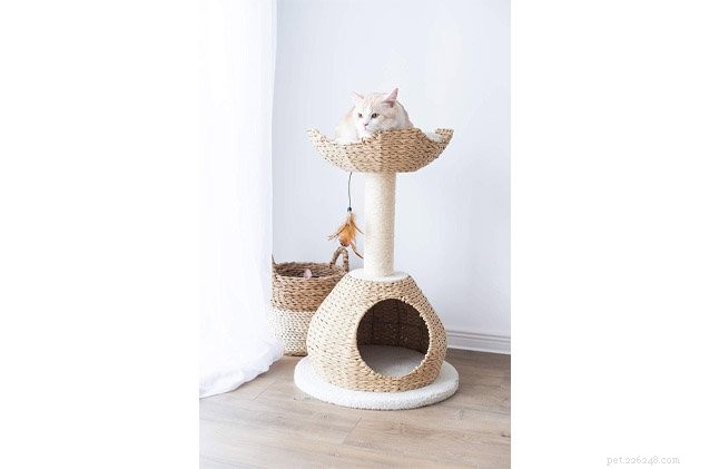 Top 10 Cat Condos: The Best Homes for Your Feline Companion