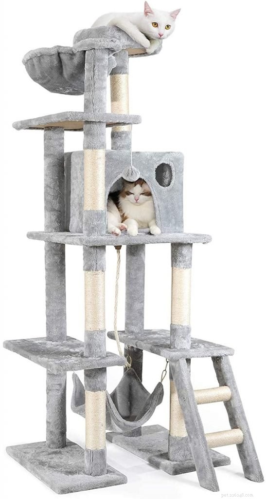 Top 10 Cat Condos: The Best Homes for Your Feline Companion