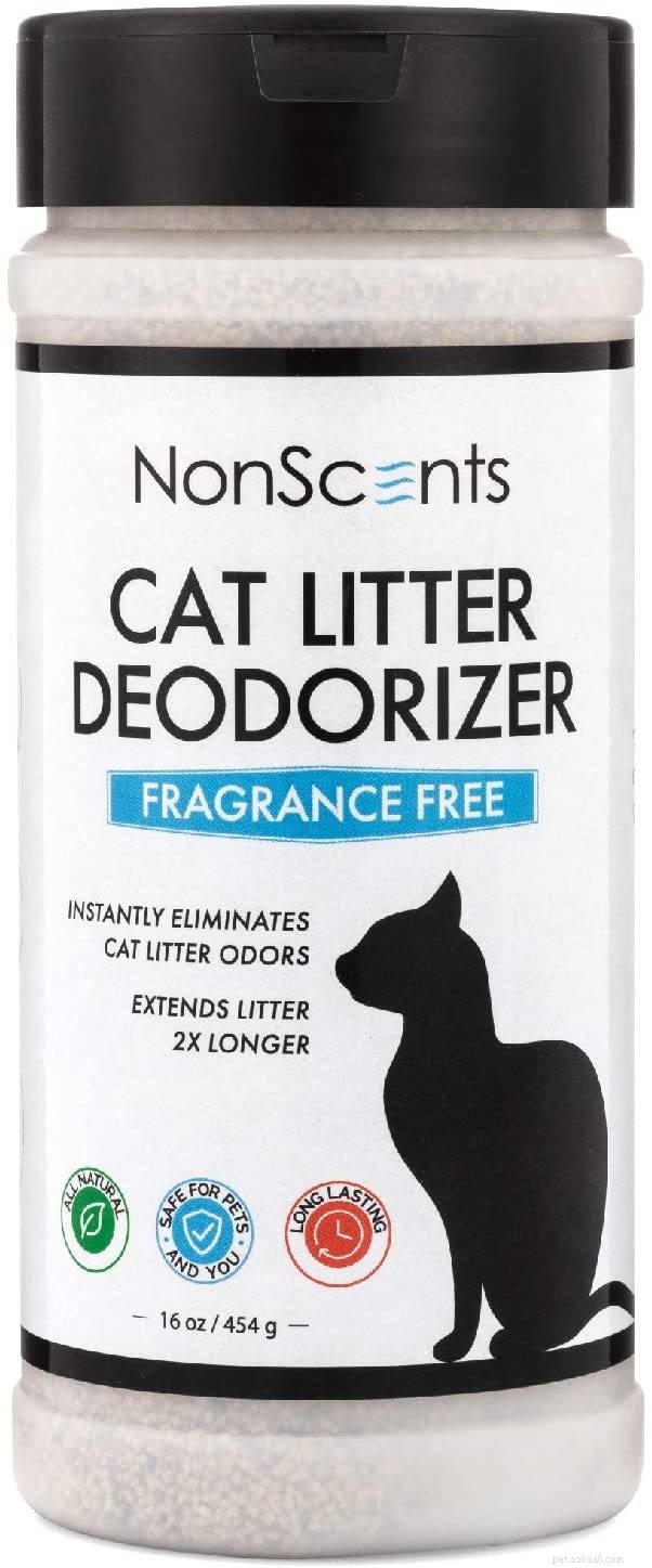 Top 5 Proven Strategies to Eliminate Litter Box Odor