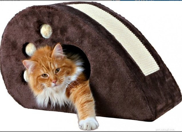Top 10 Cat Condos: The Best Homes for Your Feline Companion
