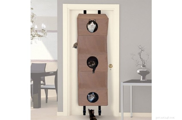 Top 10 Cat Condos: The Best Homes for Your Feline Companion