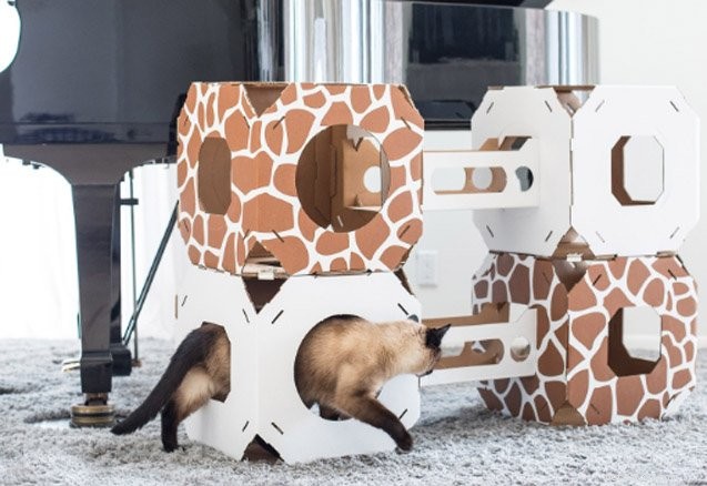 Top 10 Cat Condos: The Best Homes for Your Feline Companion