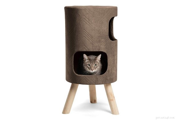 Top 10 Cat Condos: The Best Homes for Your Feline Companion