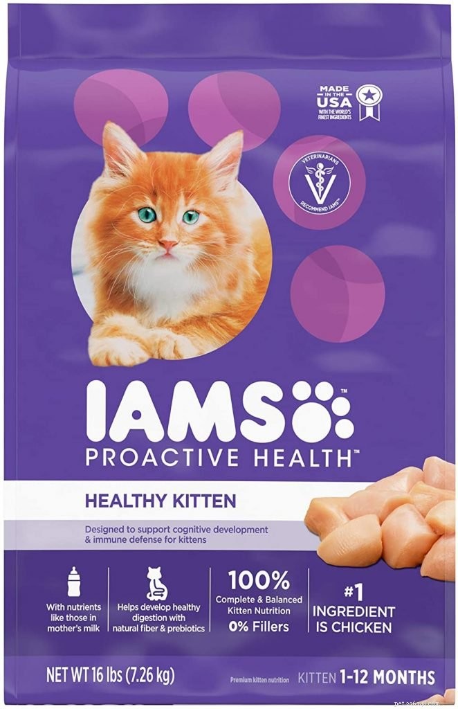 Top Rated Kitten Foods: Nutrition Guide for Healthy Growth