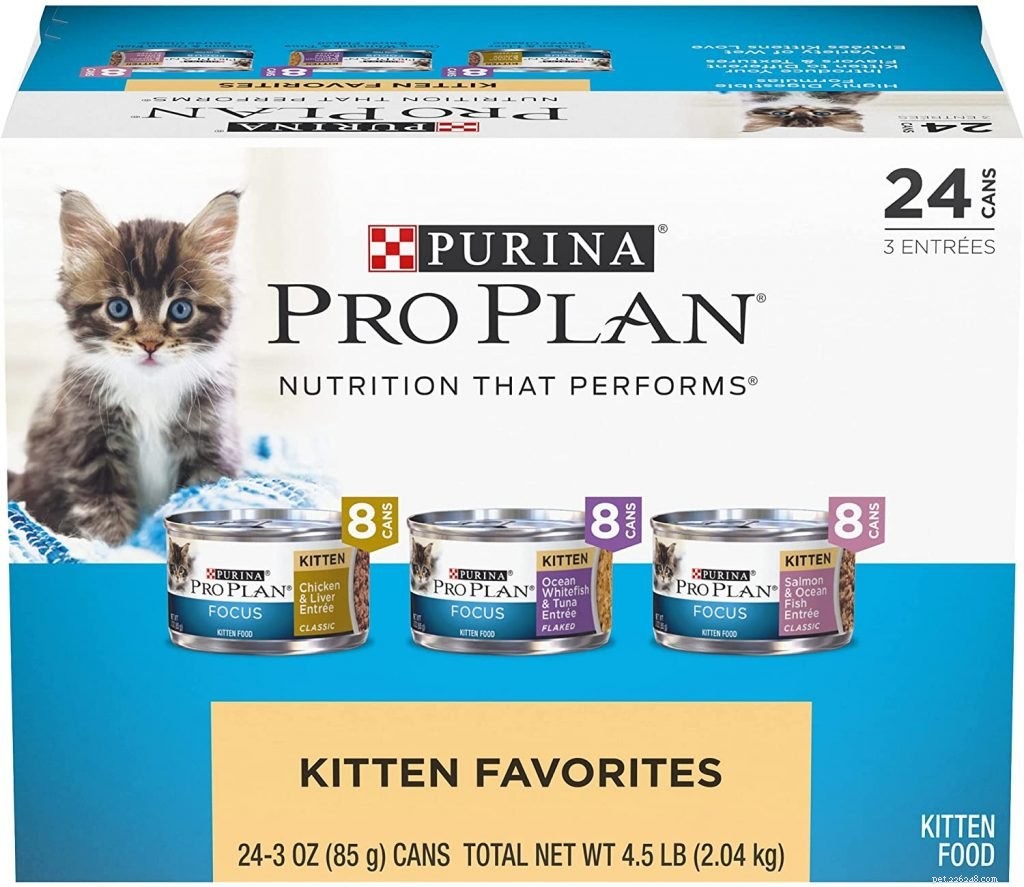 Top Rated Kitten Foods: Nutrition Guide for Healthy Growth