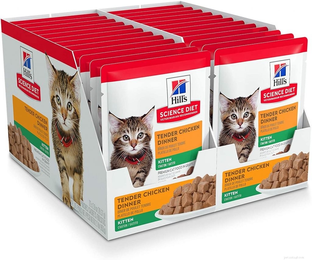 Top Rated Kitten Foods: Nutrition Guide for Healthy Growth