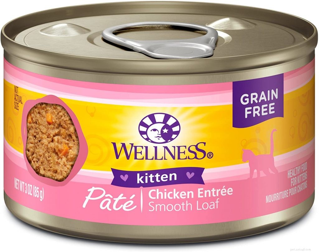 Top Rated Kitten Foods: Nutrition Guide for Healthy Growth