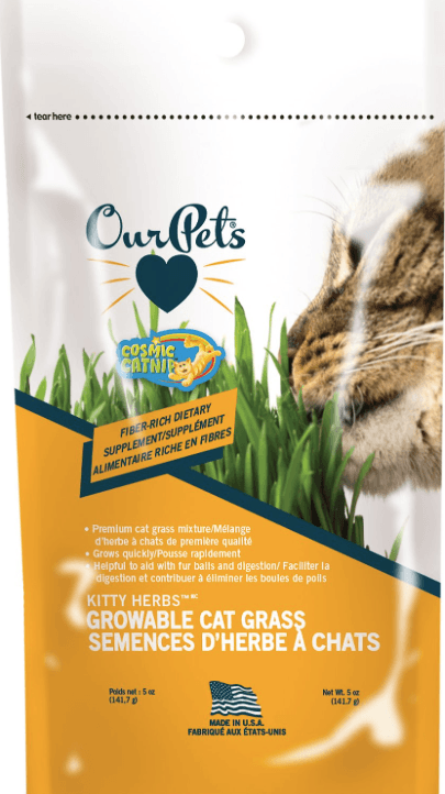 Top 10 Best Cat Grass: Healthy, Safe & Easy to Grow