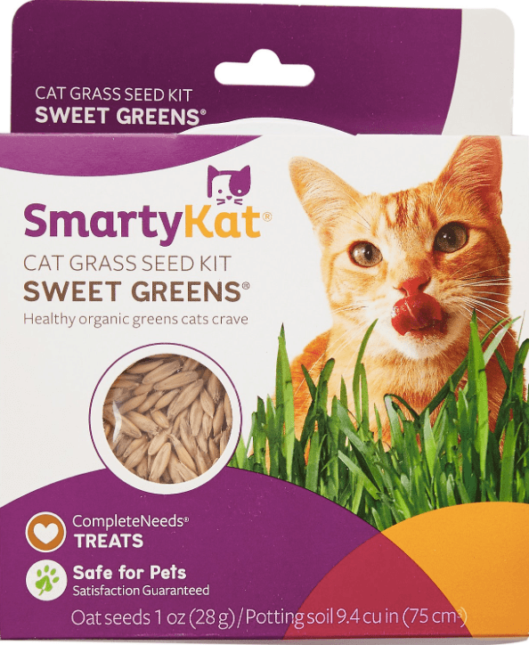 Top 10 Best Cat Grass: Healthy, Safe & Easy to Grow