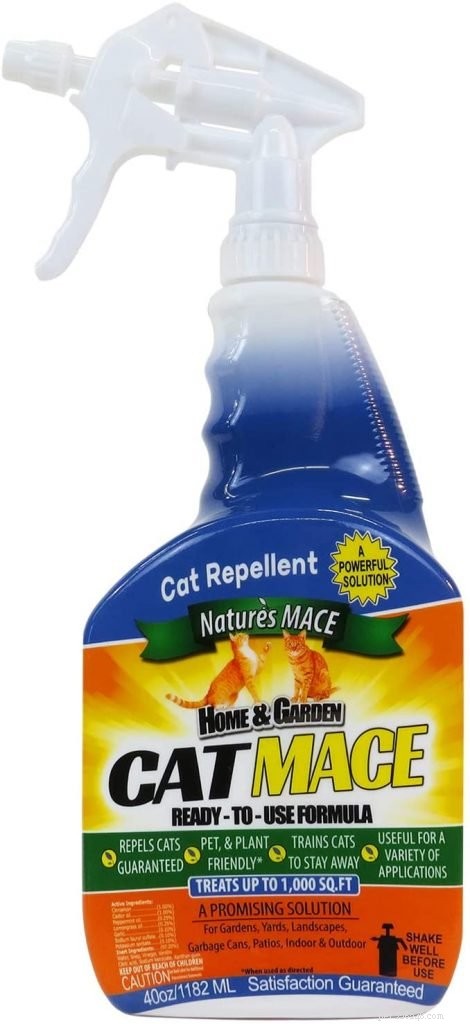 Top Cat Repellent Solutions for a Cat-Free Garden
