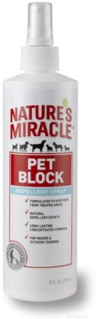 Top Cat Repellent Solutions for a Cat-Free Garden