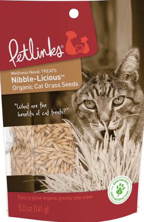Top 10 Best Cat Grass: Healthy, Safe & Easy to Grow