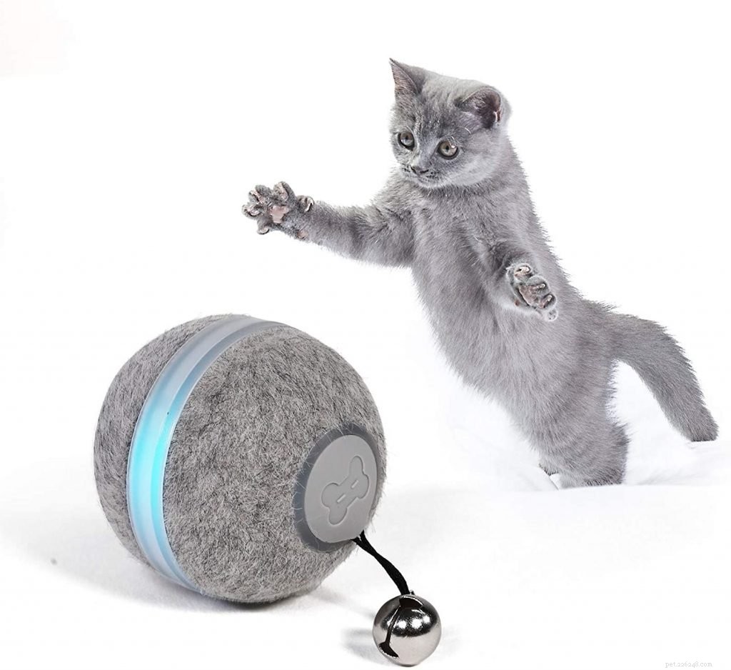 Top-Rated Cat Toys for Health & Fun