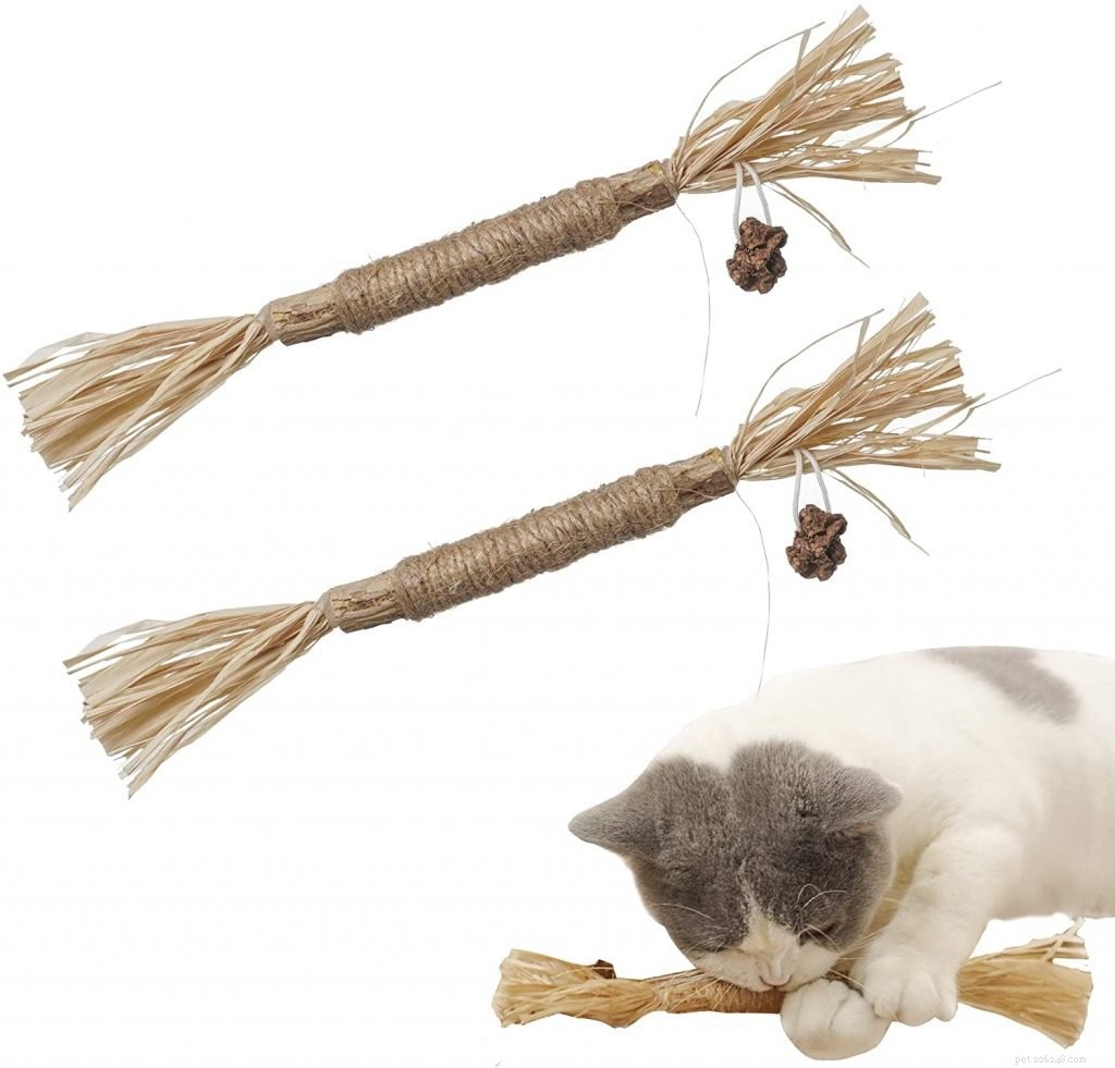 Top-Rated Cat Toys for Health & Fun