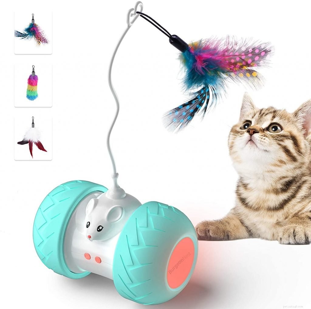 Top-Rated Cat Toys for Health & Fun