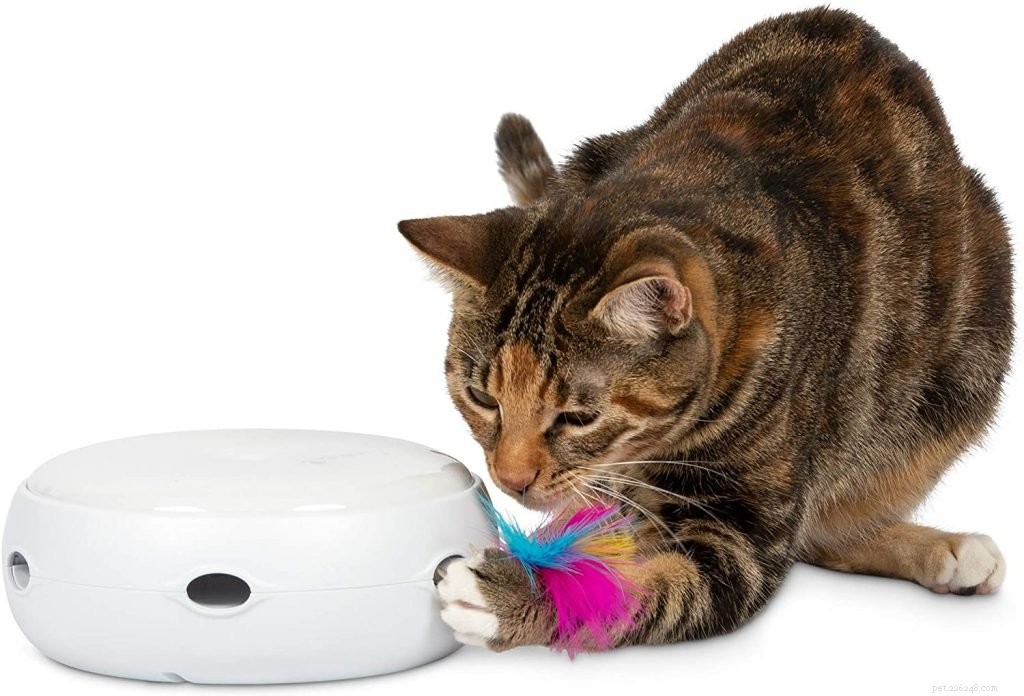 Top-Rated Cat Toys for Health & Fun