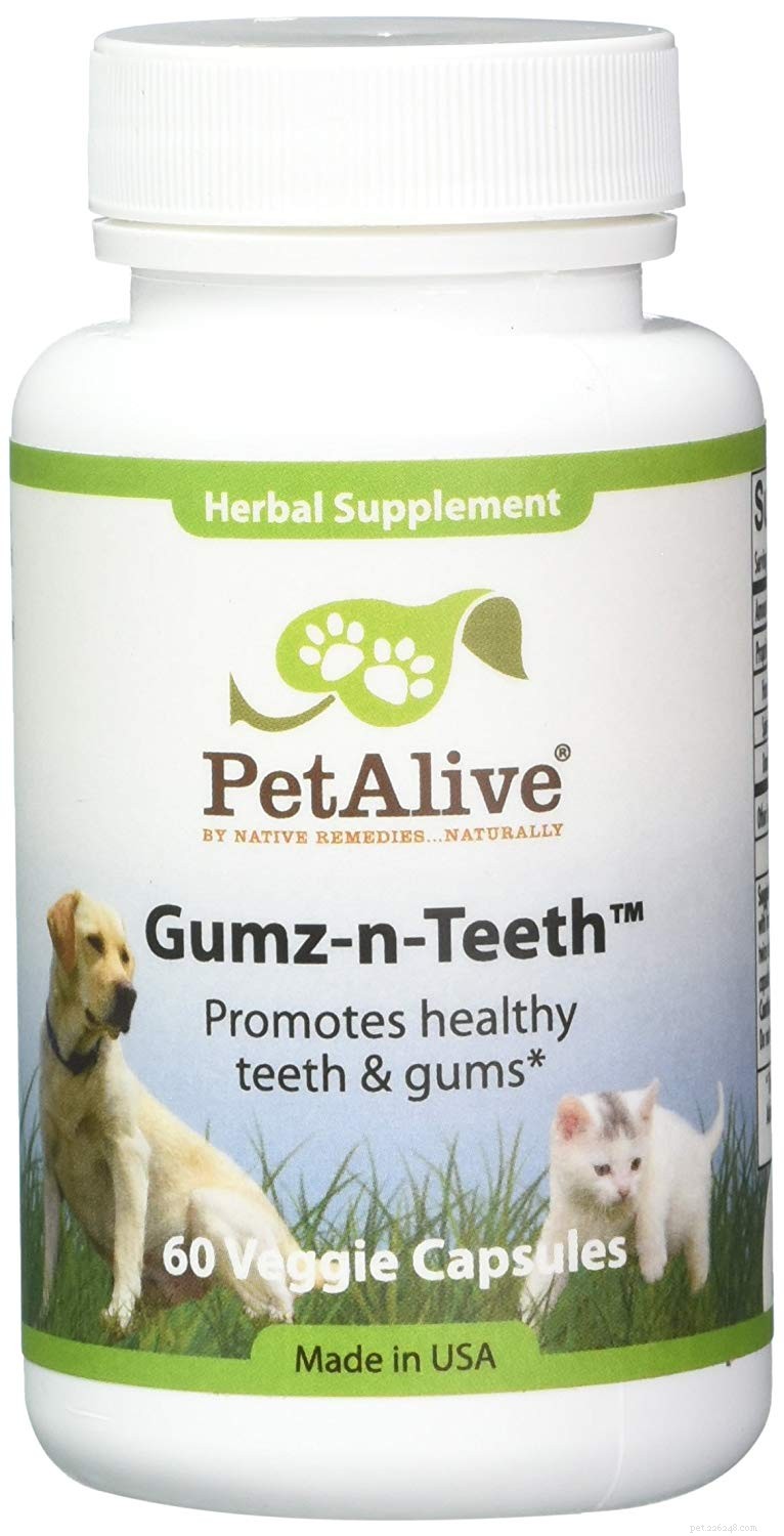 Top Dental Supplements for Cats: Boost Oral Health & Fresh Breath