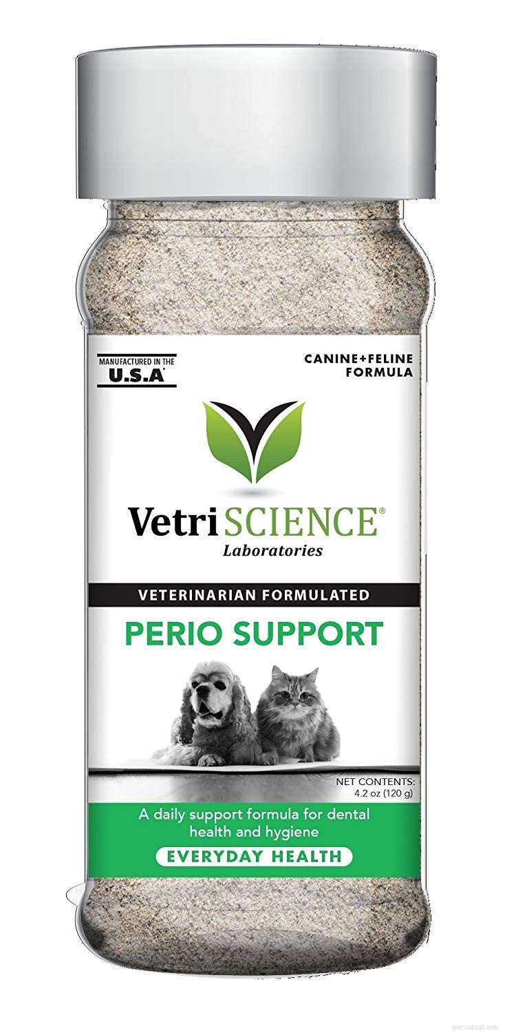 Top Dental Supplements for Cats: Boost Oral Health & Fresh Breath