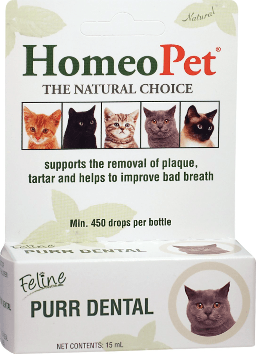 Top Dental Supplements for Cats: Boost Oral Health & Fresh Breath