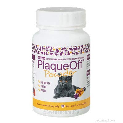 Top Dental Supplements for Cats: Boost Oral Health & Fresh Breath