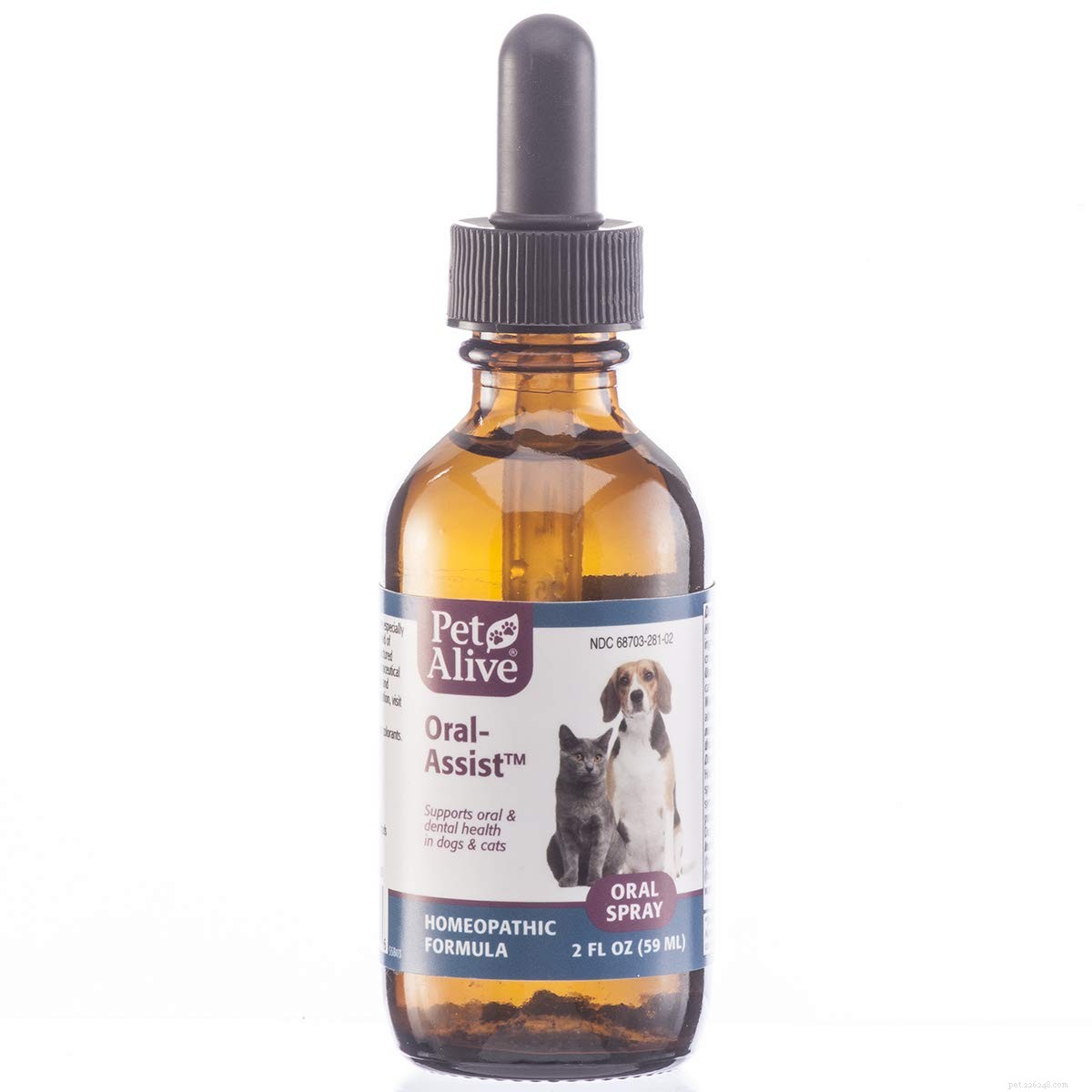 Top Dental Supplements for Cats: Boost Oral Health & Fresh Breath