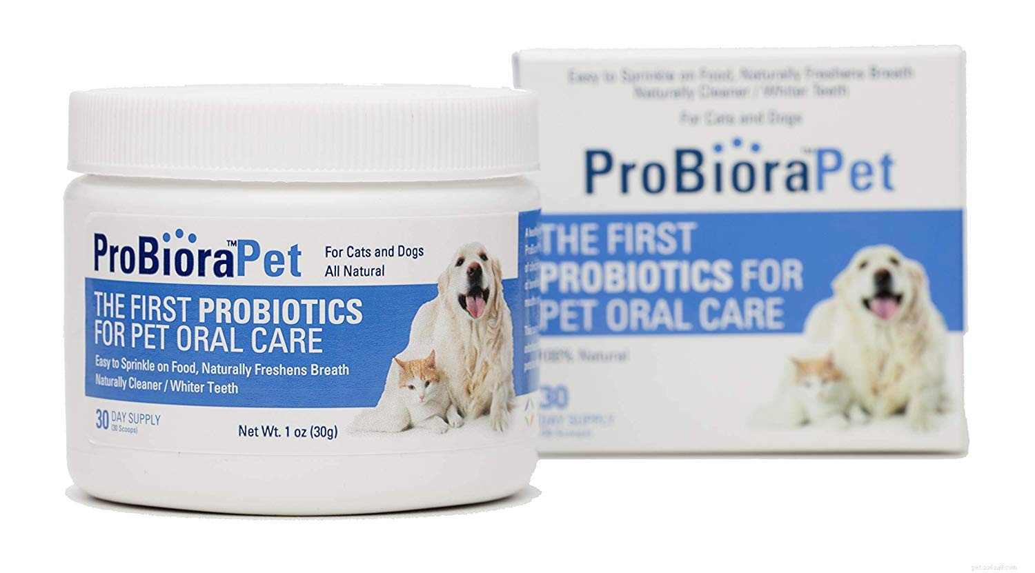 Top Dental Supplements for Cats: Boost Oral Health & Fresh Breath