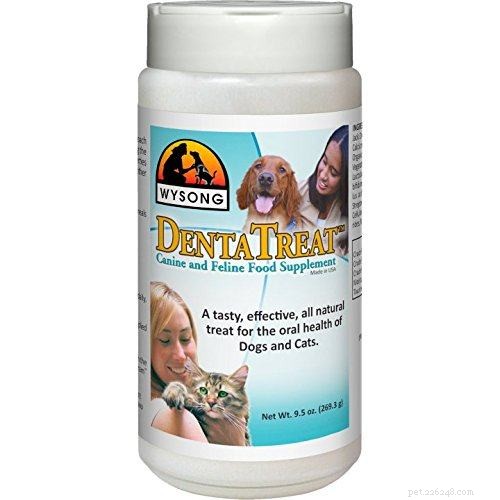 Top Dental Supplements for Cats: Boost Oral Health & Fresh Breath