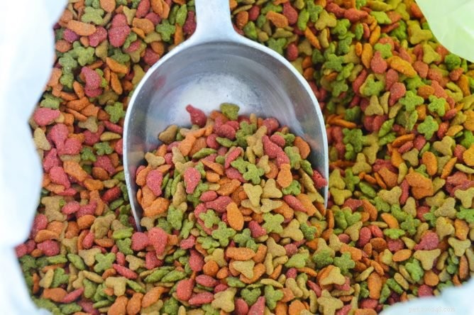 Top Cat Food Storage Containers for Freshness & Pest Protection
