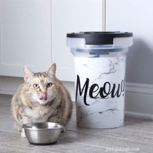 Top Cat Food Storage Containers for Freshness & Pest Protection
