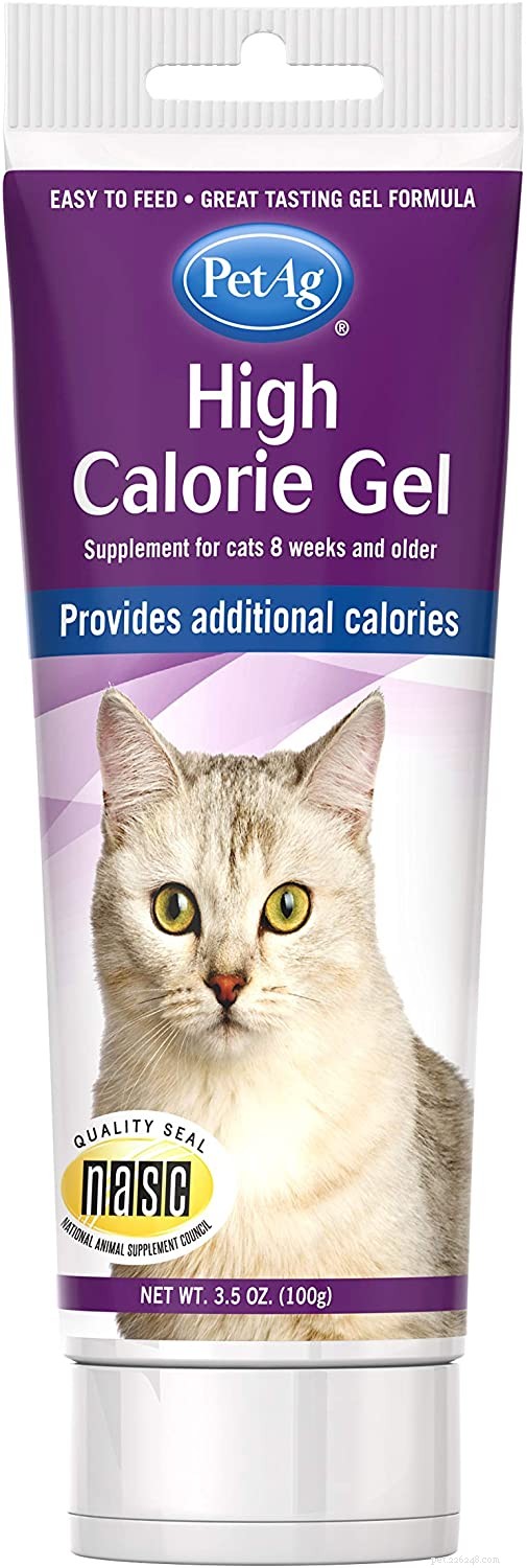 Top Proven Supplements for Healthy Cat Weight Gain