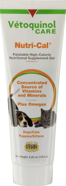 Top Proven Supplements for Healthy Cat Weight Gain