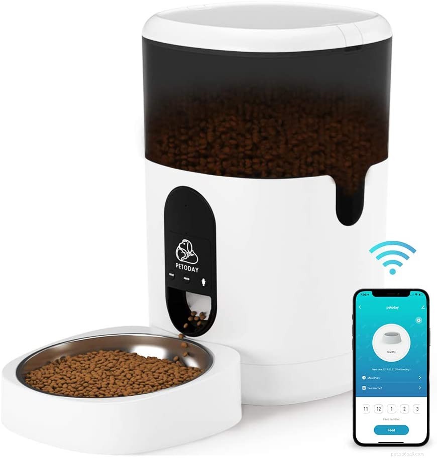 Top Automatic Cat Feeders for Busy Owners – Reliable, Precise, and Easy to Use