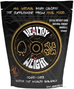 Top Proven Supplements for Healthy Cat Weight Gain