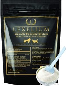 Top Proven Supplements for Healthy Cat Weight Gain