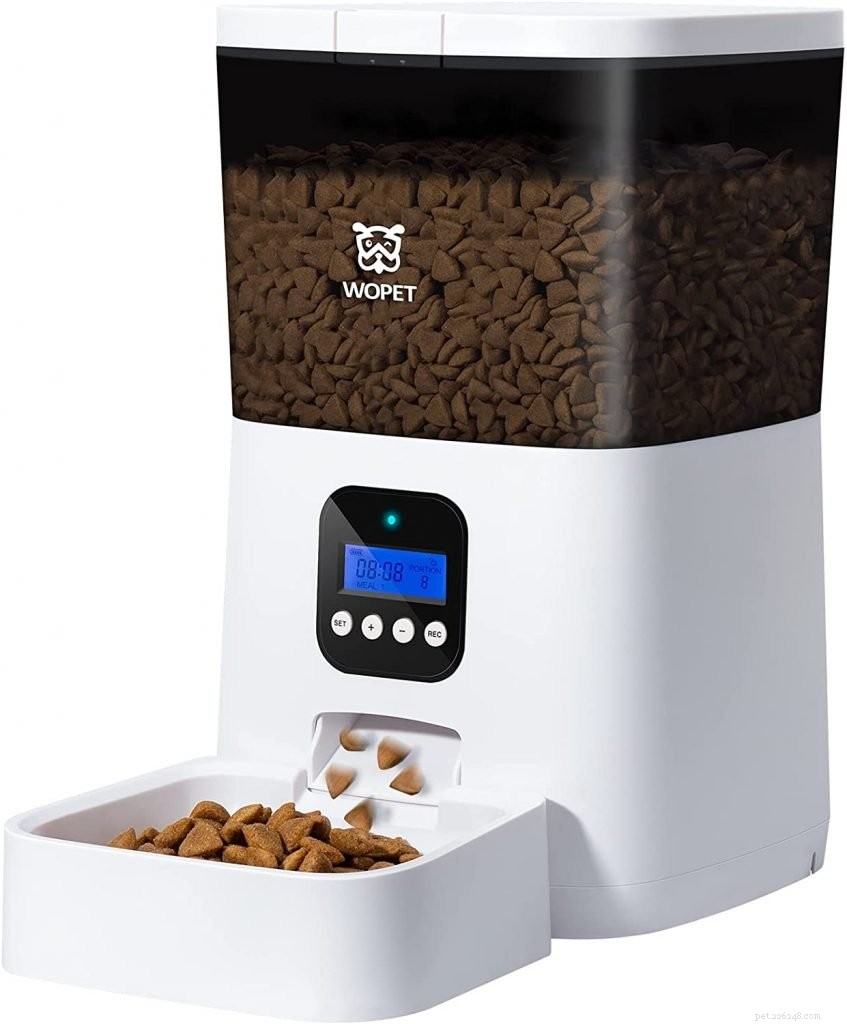 Top Automatic Cat Feeders for Busy Owners – Reliable, Precise, and Easy to Use