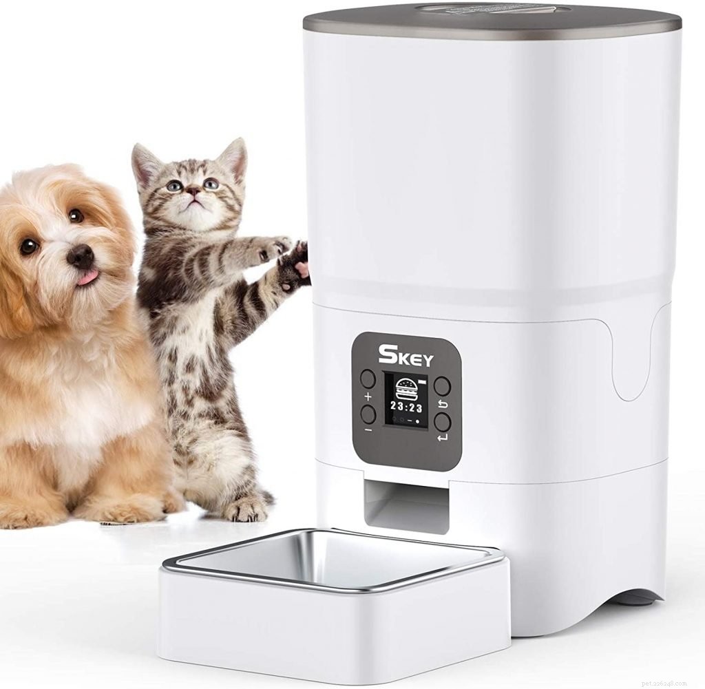 Top Automatic Cat Feeders for Busy Owners – Reliable, Precise, and Easy to Use
