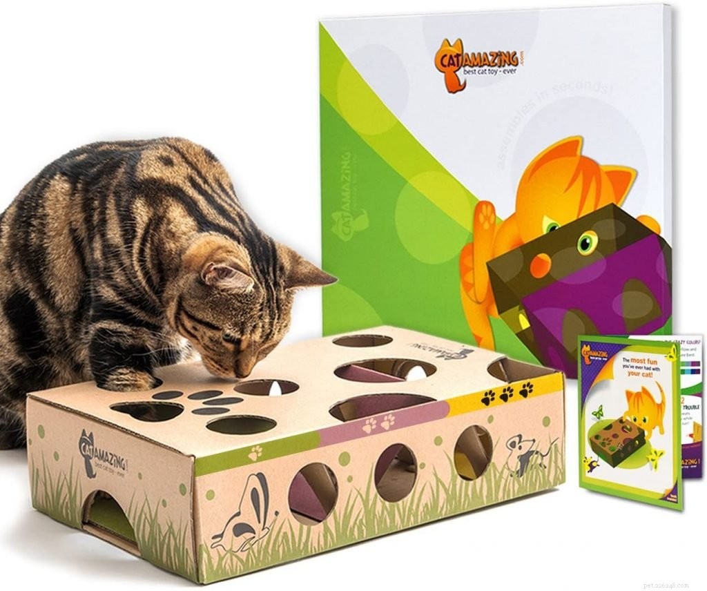 Top Puzzle Games to Stimulate Your Cat’s Brain