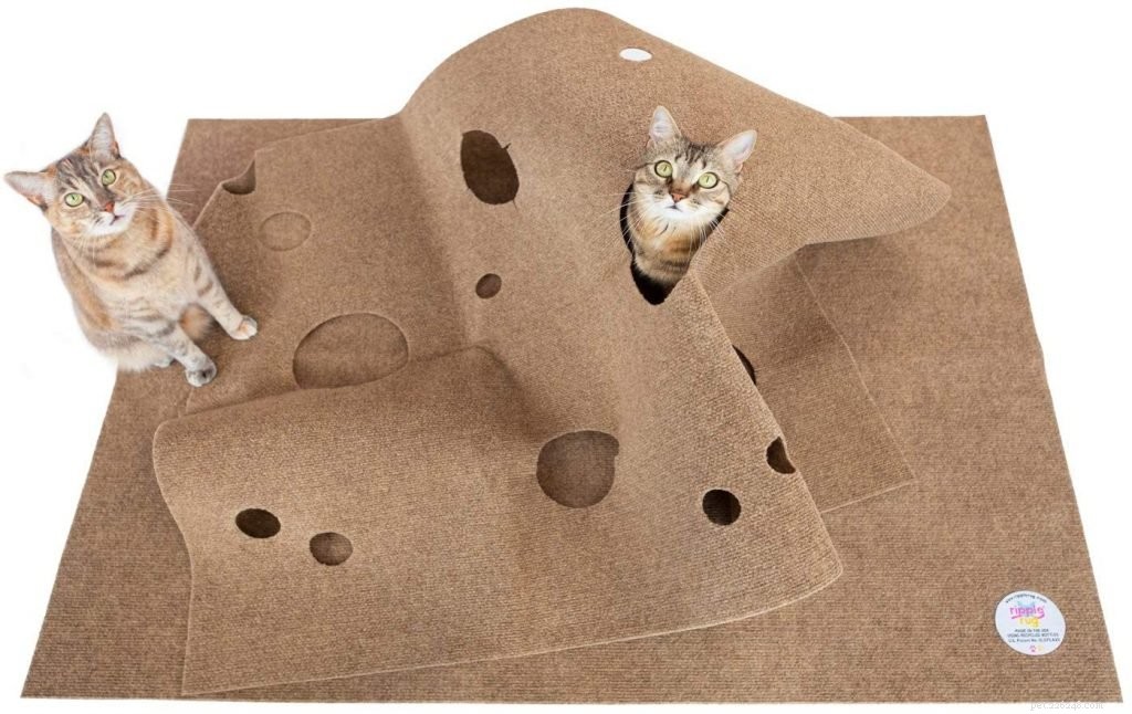 Top Puzzle Games to Stimulate Your Cat’s Brain