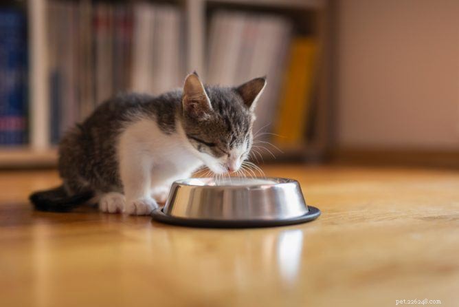 Top Organic Cat Foods: Expert-Recommended Selections for Optimal Health