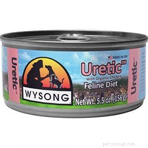 Top Organic Cat Foods: Expert-Recommended Selections for Optimal Health