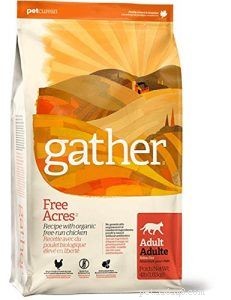 Top Organic Cat Foods: Expert-Recommended Selections for Optimal Health