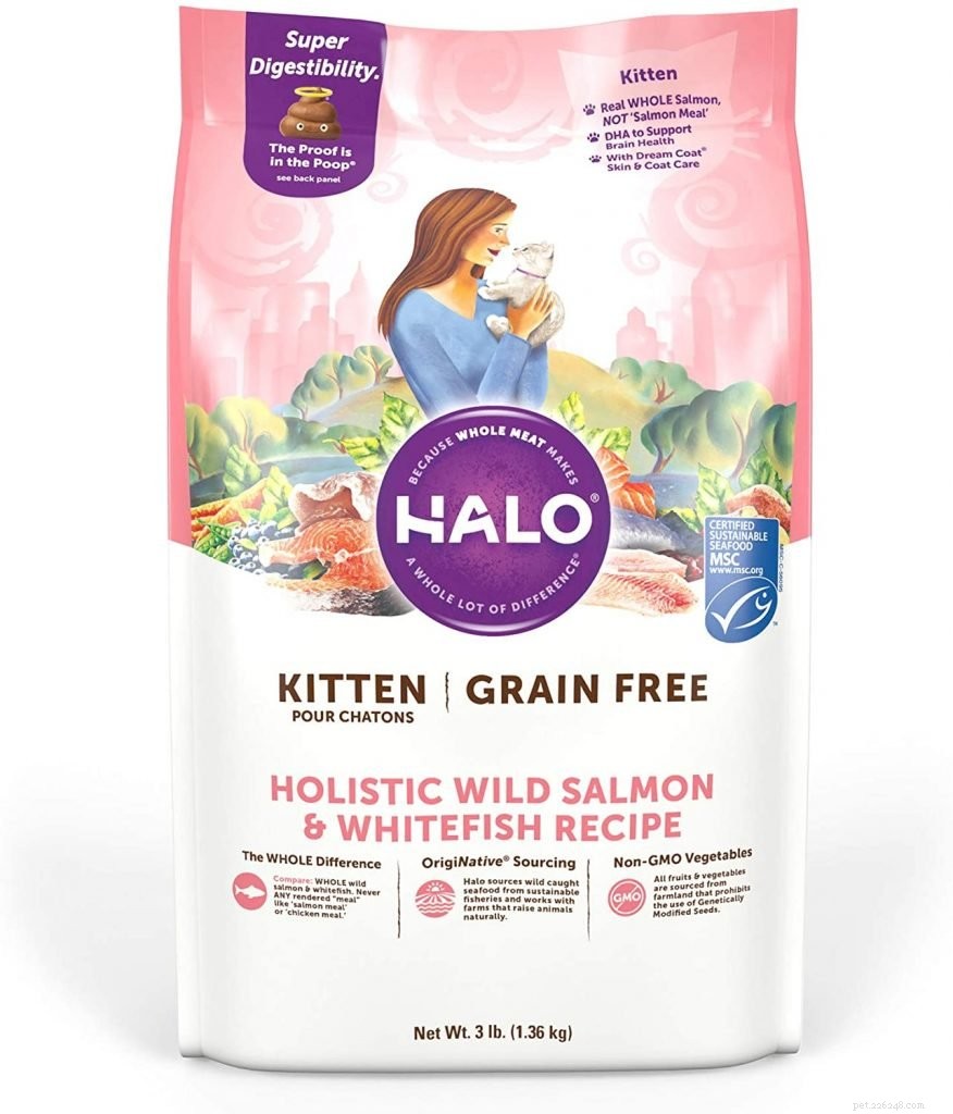 Top Hypoallergenic Cat Food: Safe Nutrition for Sensitive Cats